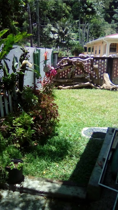 Photos of Cocoa Cottage