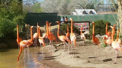 El Rancho Atrisco Park