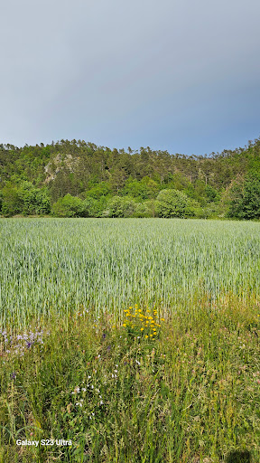 Lake Gulli - Thumbnail