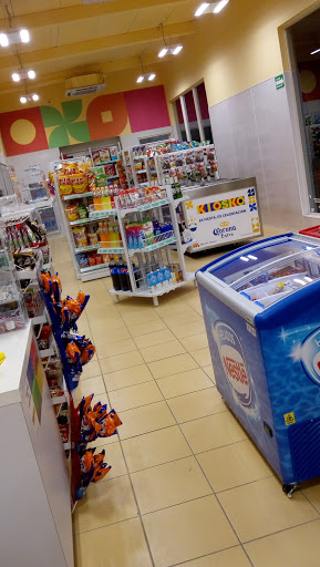 TIENDA KIOSKO GAS SANTA ANITA - Thumbnail