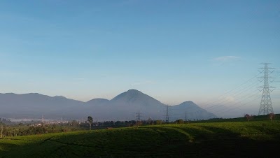 Photos of Balai Desa Margamukti