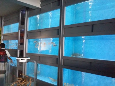 Photos of Nature Of Life Aquriums