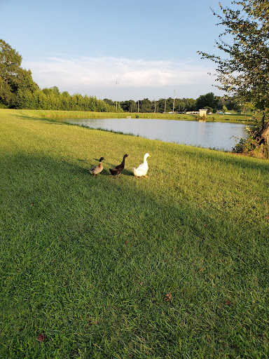 Oglethorpe County Recreation Department - Thumbnail