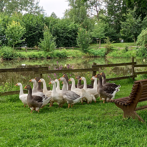 Schloss Stockhausen Gallery - Germany