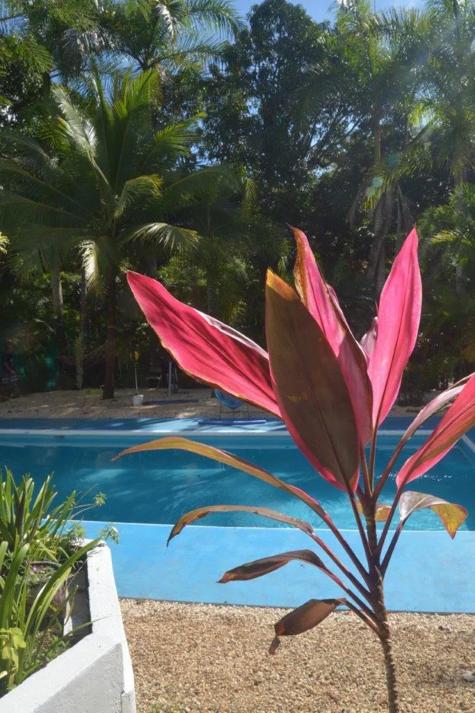 Blanconejo Rentals
