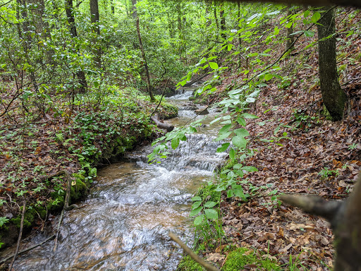 Little Mountain Falls Trail