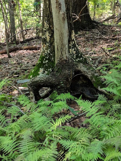 Gambrill State Park