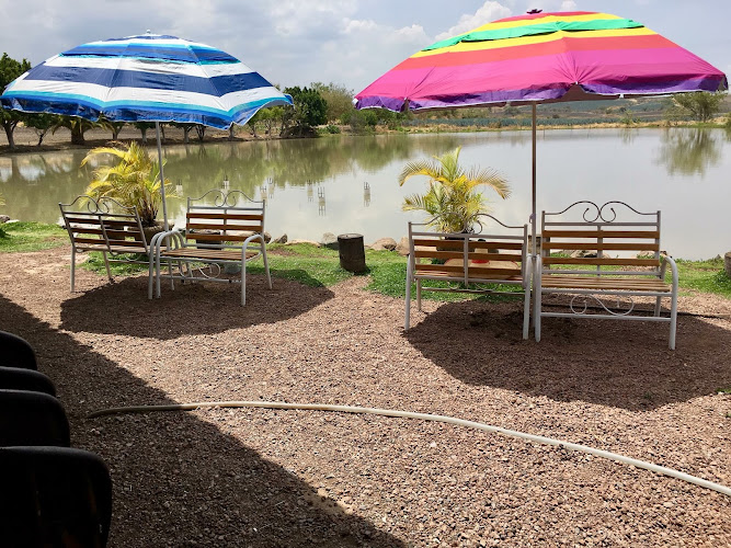 Paraiso del Llano