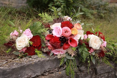 Hyacinth Bean Florist