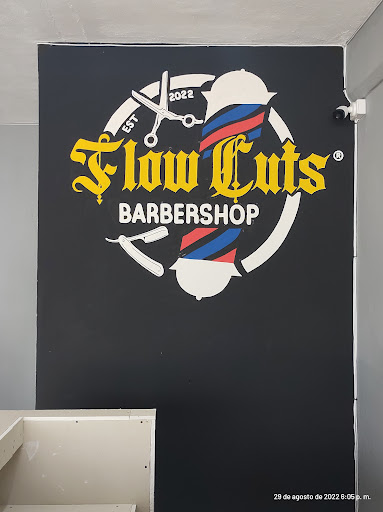 Flow Cuts - Visual