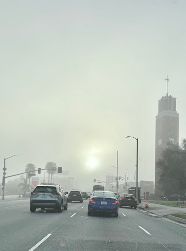 Ventura / White Oak - Thumbnail