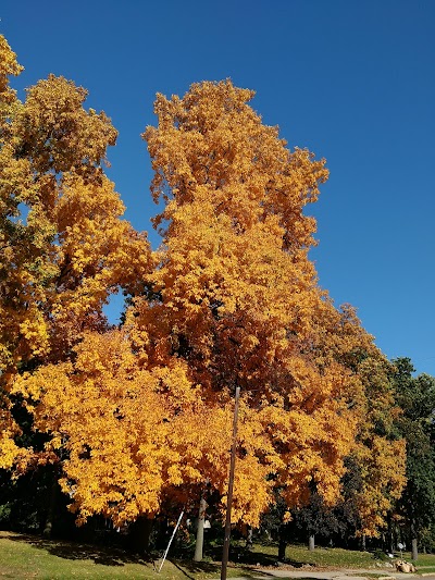 Photos of Quaker Park