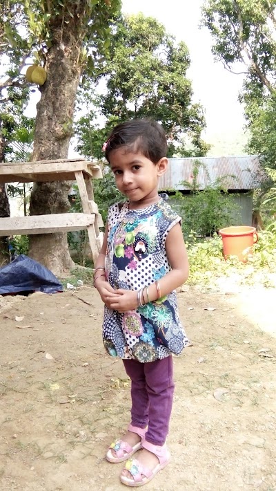 Photos of Meghbari Resort