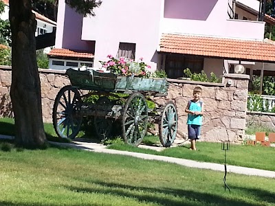 Photos of Hotel Erol