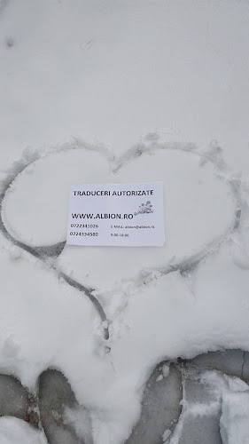 strada Putul lui Zamfir 51,Parter, București 011682