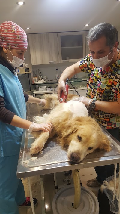 Photos of La Fontaine Veterinary