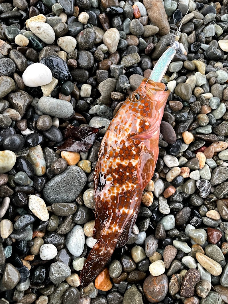 インター釣具倶楽部