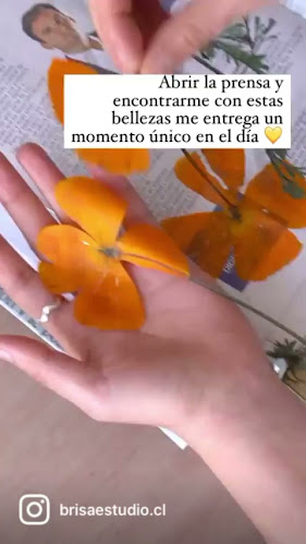 Opiniones de Brisa Estudio | Cuadros botánicos en Cerro Navia - Interiorista