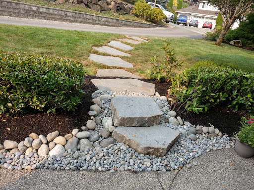 Cascade Park - Visual
