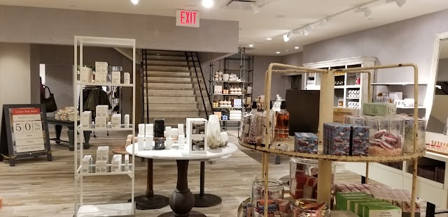 Anthropologie