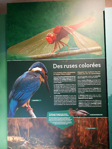 Maison de la Nature de la Grenouillère - Thumbnail