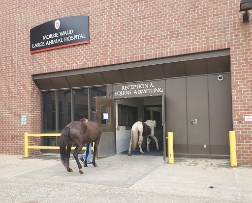 UW Veterinary Care - Thumbnail