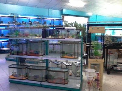 Pet Store