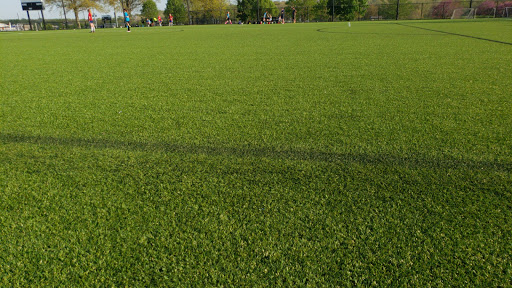Field 7 - Visual