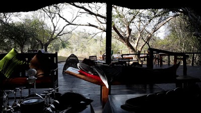 Photos of Kosi Forest Lodge