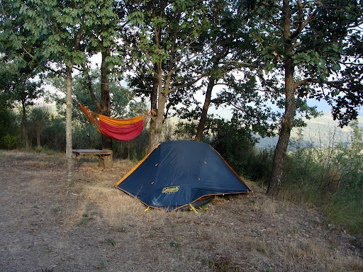 Vaccilento - Visual
