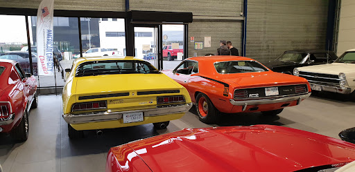 American Car City - Thumbnail
