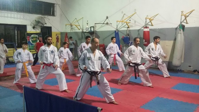 Escuela Profesional de TaeKwon-Do, Author: Claudio Pertuso