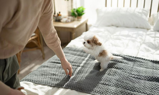 Tiny Puppies store - Visual