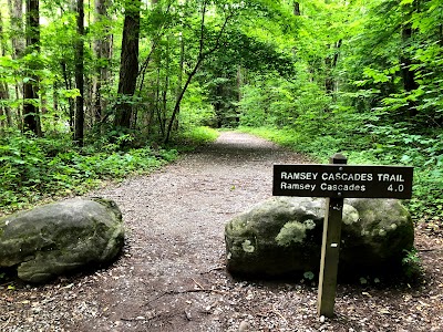 Ramsey Cascades