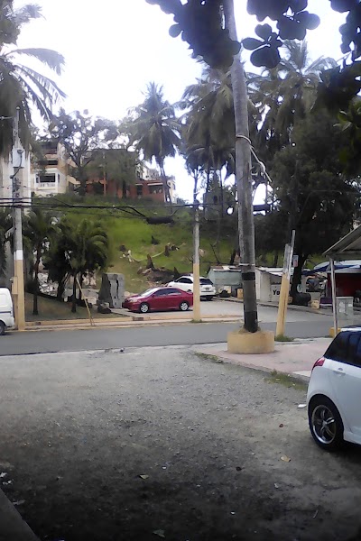 Photos of Los Coquitos