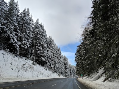 Clatsop State Forest