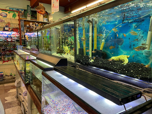 Superway Aquarium Gallery - United States