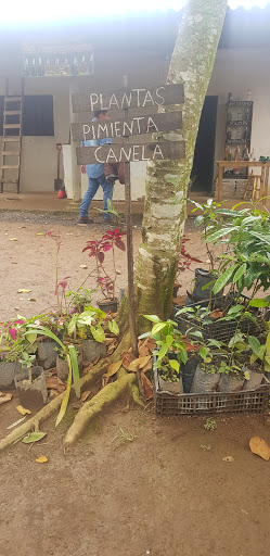 Centro De Salud Tzicuilan