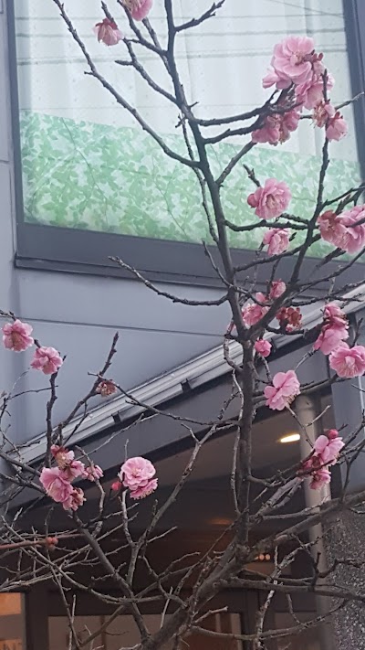 おおにし光生園