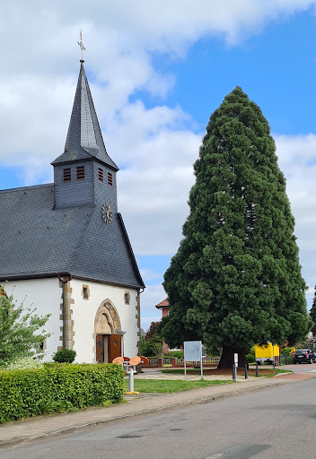 Evangelisch-lutherische Bonnus-Kirchengemeinde - Thumbnail