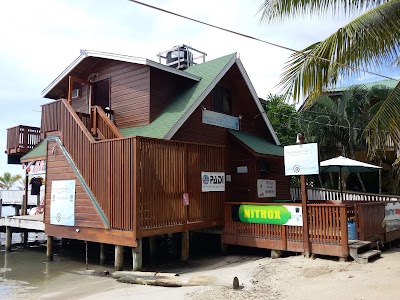 Photos of Roatan Divers