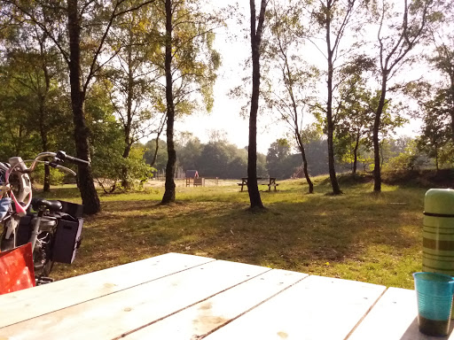 Dagcamping - Visual