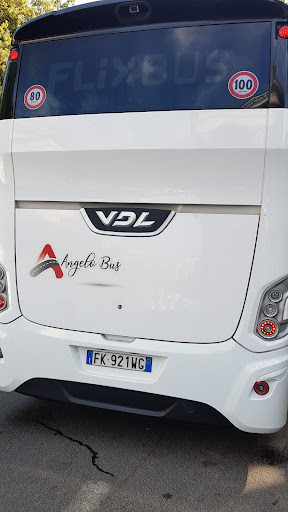 Angelo Bus - Visual