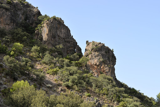 Coto Corona