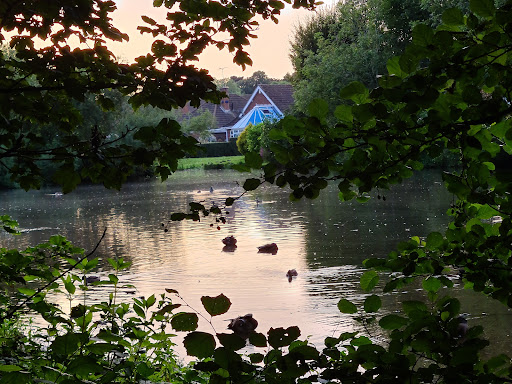 Brook Hollows - Thumbnail