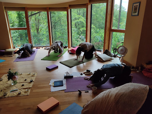 Yoga Frankie - Thumbnail