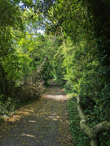 Reigate Viewpoint - Visual