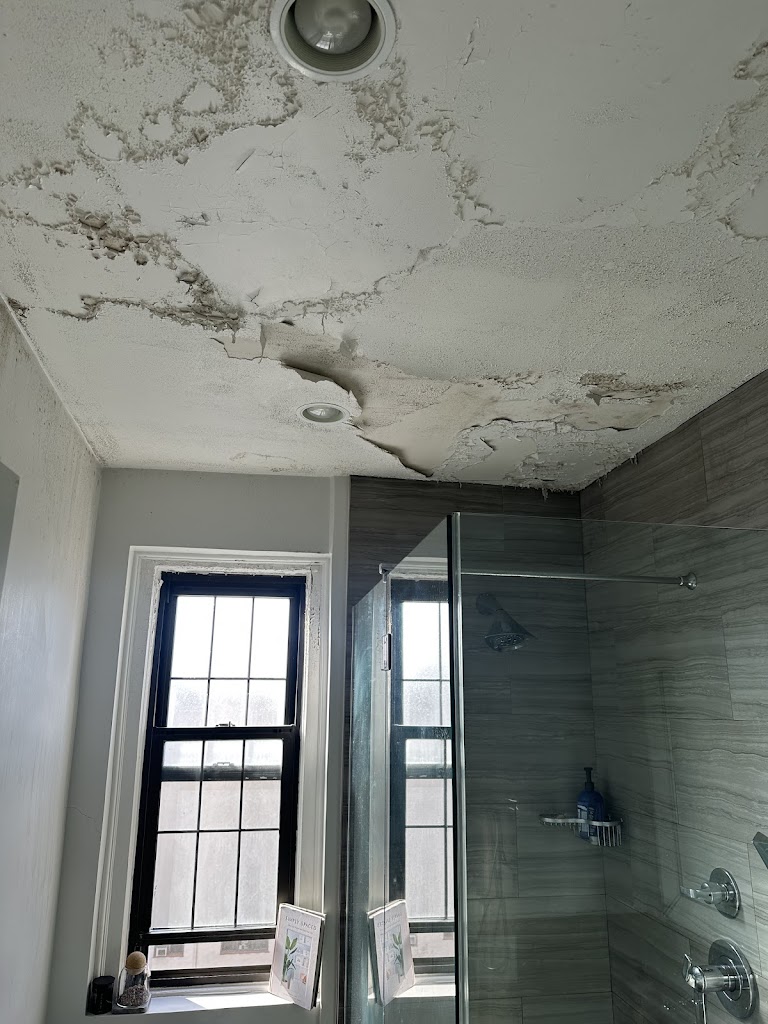 MoldMD Solutions photo