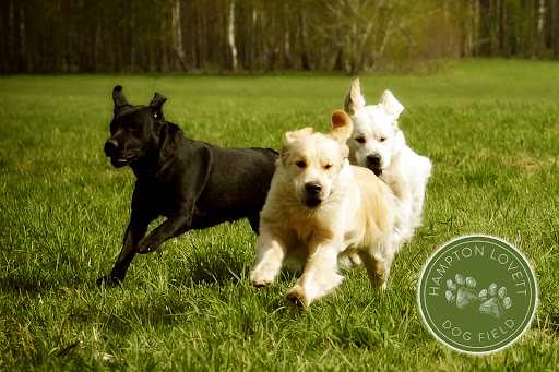 Hampton Lovett Secure Dog Field