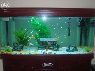 Photos of Sagara Aquarium